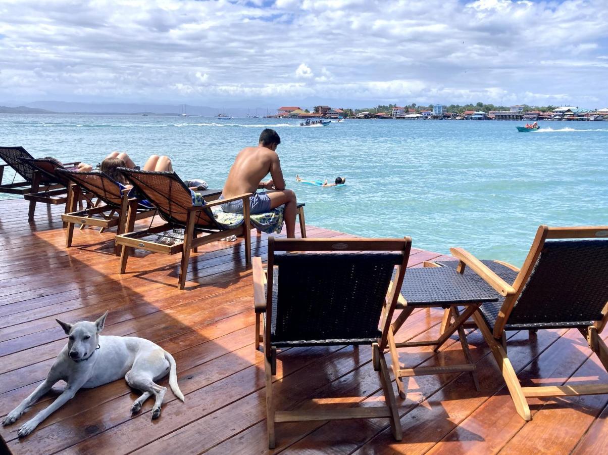 Casa Acuario Boutique Hotel Μπόκας ντελ Τόρο Εξωτερικό φωτογραφία